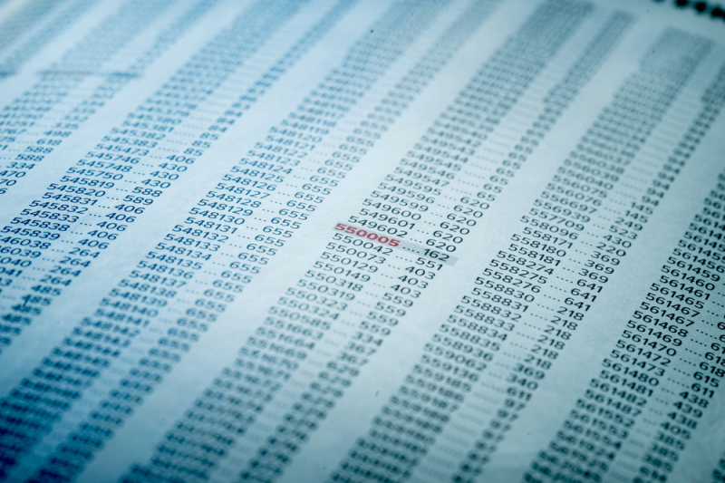 Irregularity and Fraud Audit